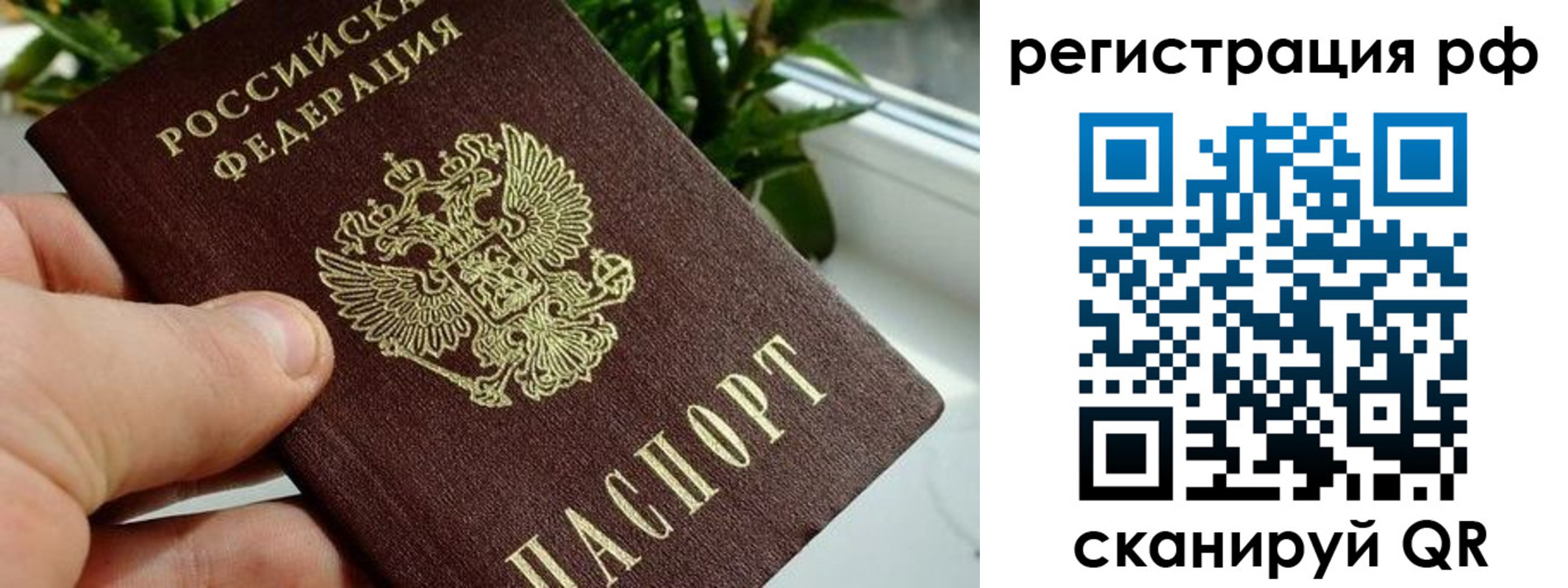 прописка паспорт в Долгопрудном